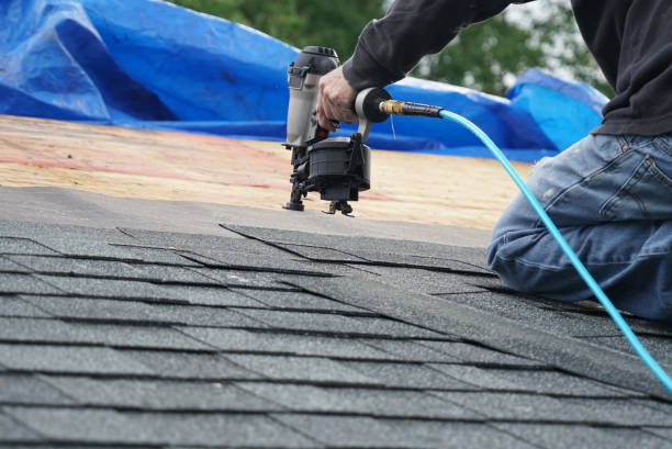 Best Storm Damage Roof Repair  in New Freedom, PA